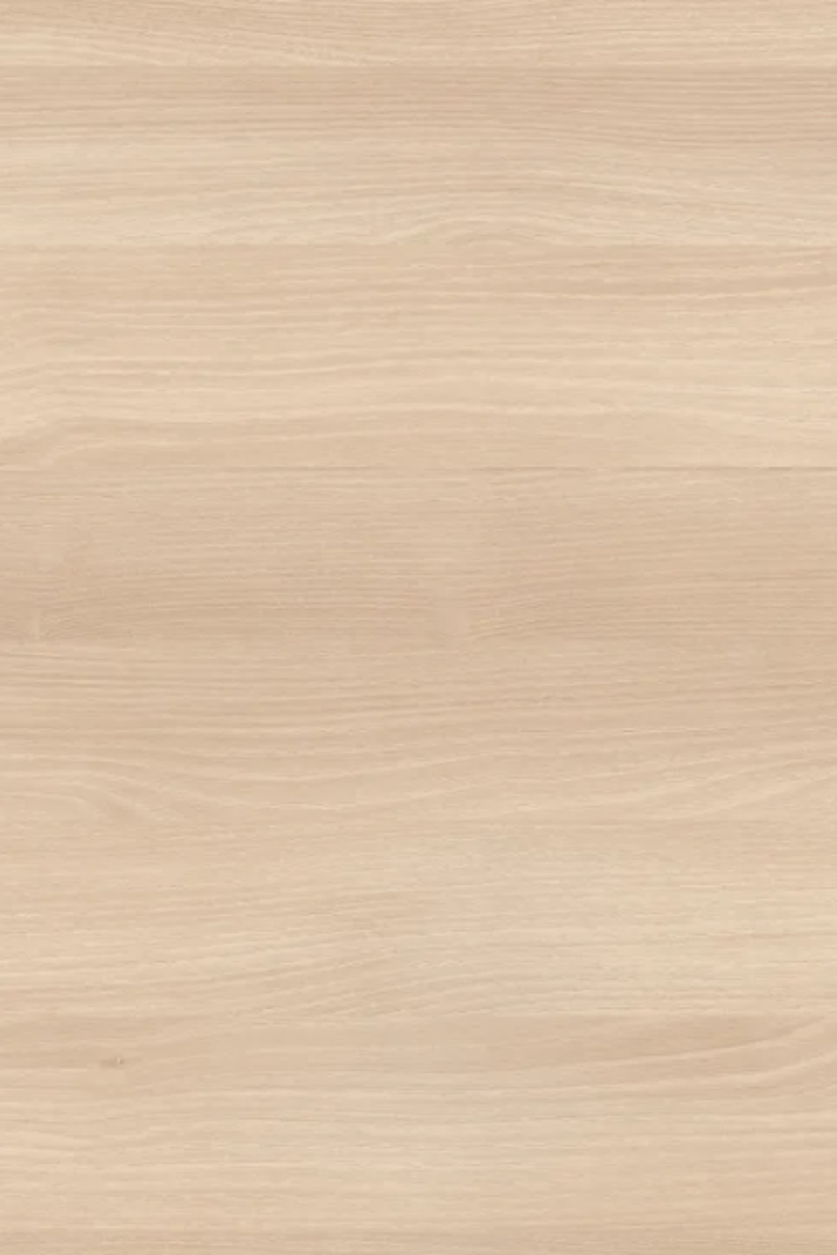 Sand Birch image 0