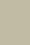 Sage Green image 0