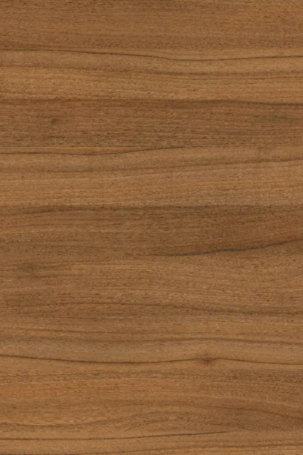 Natural Dijon Walnut image 0